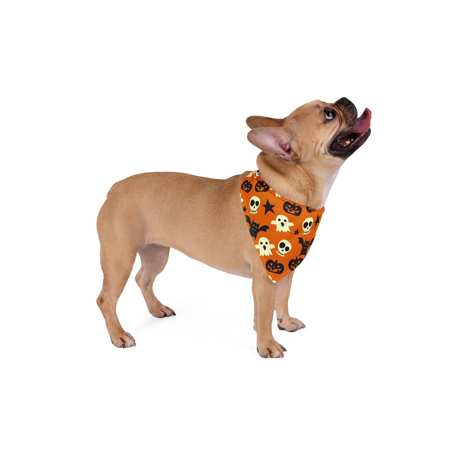 Boo-tiful Halloween Pet Bandana - Expressive DeZien