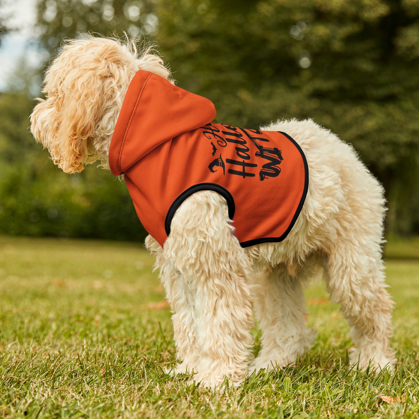 Pet Hoodie Happy Halloween Witches - Expressive DeZien