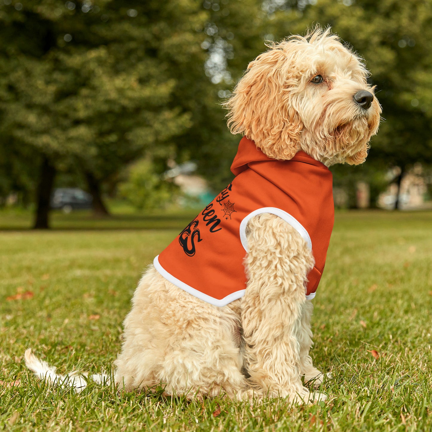 Pet Hoodie Happy Halloween Witches - Expressive DeZien