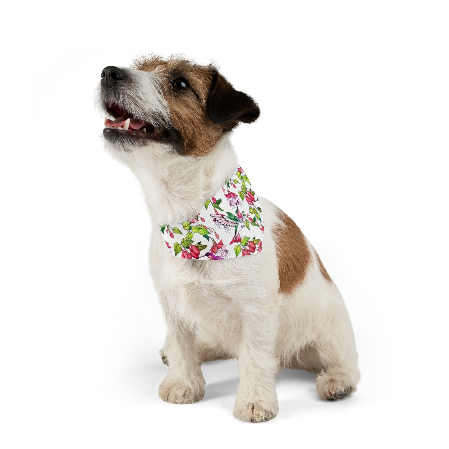 Pet Bandana Collar Hummingbirds and Fuchsia Flower - Expressive DeZien