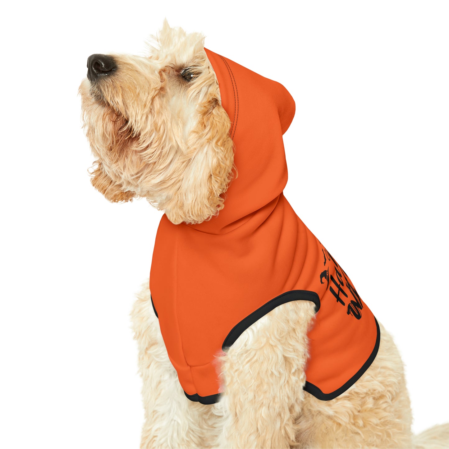Pet Hoodie Happy Halloween Witches - Expressive DeZien