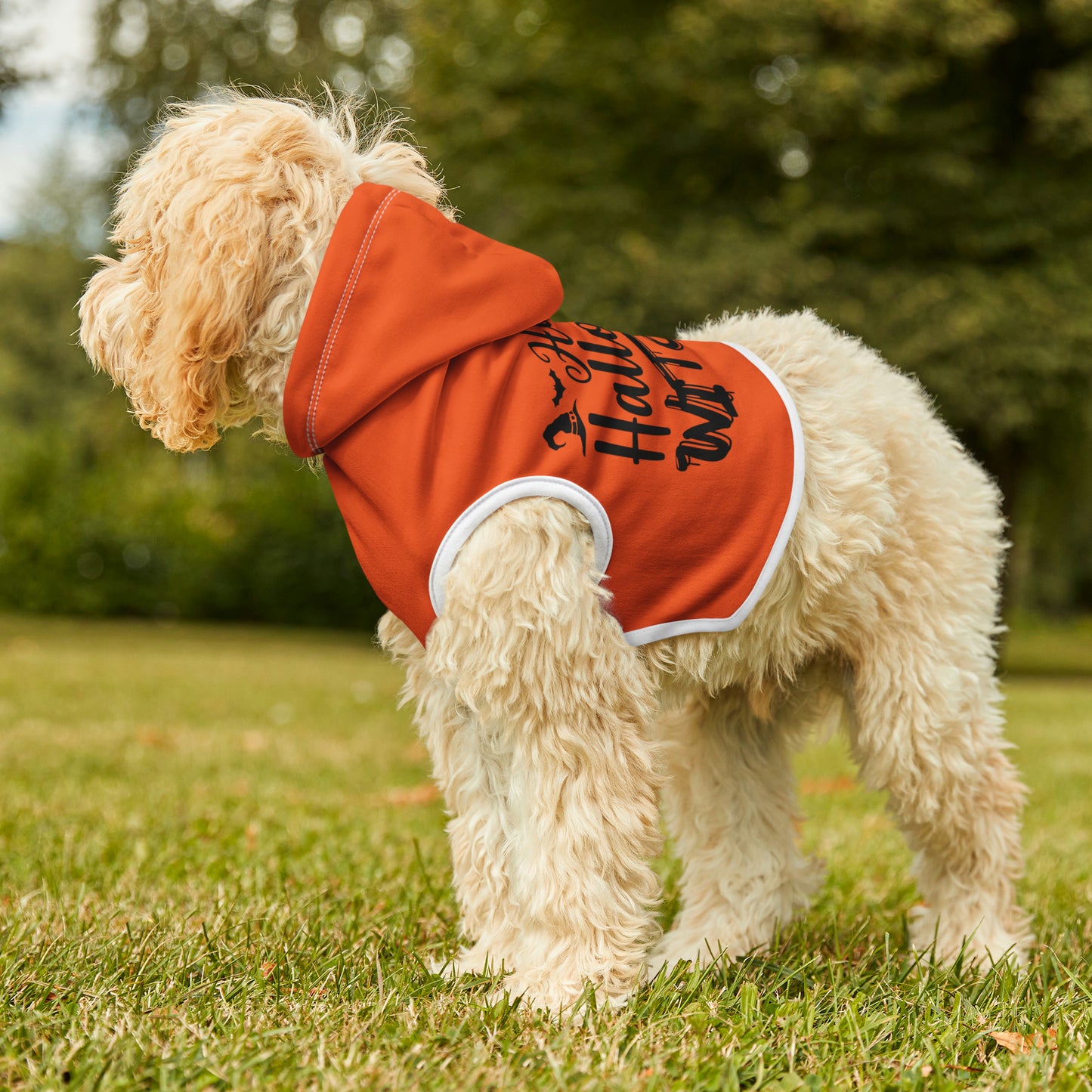 Pet Hoodie Happy Halloween Witches - Expressive DeZien