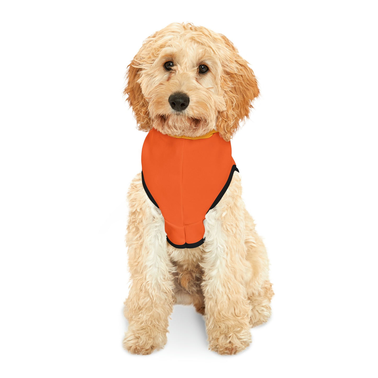 Pet Hoodie Sweet Jack-o-Lantern - Expressive DeZien