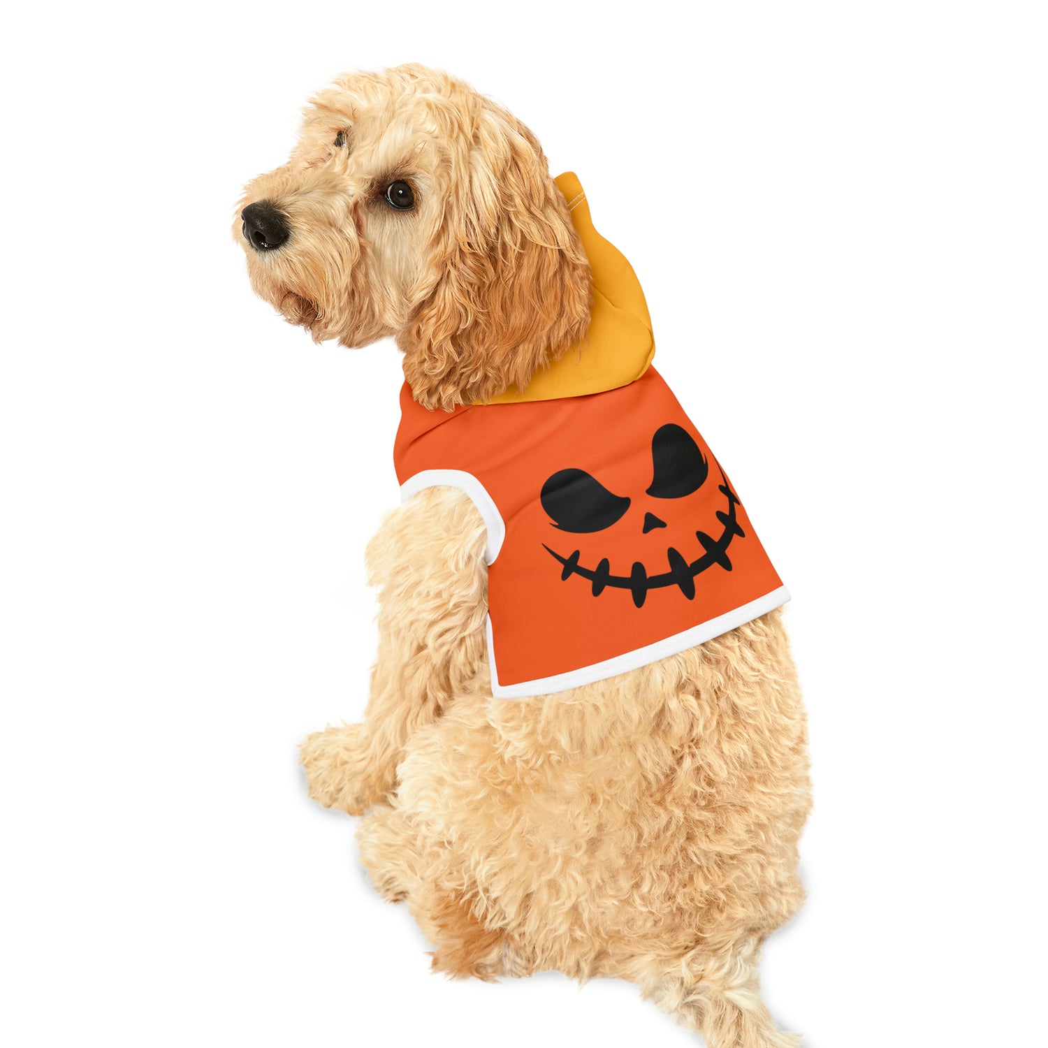 Pet Hoodie Sweet Jack-o-Lantern - Expressive DeZien