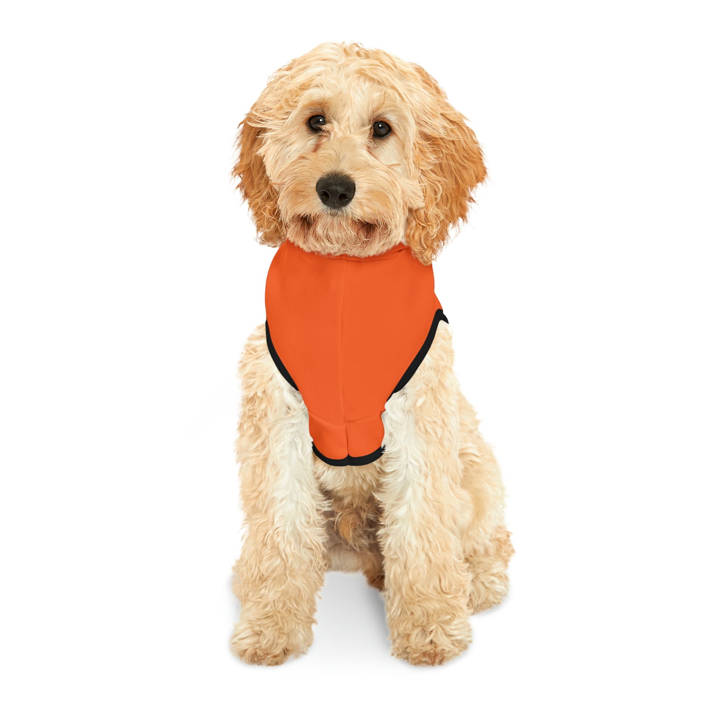 Pet Hoodie Happy Halloween Witches - Expressive DeZien