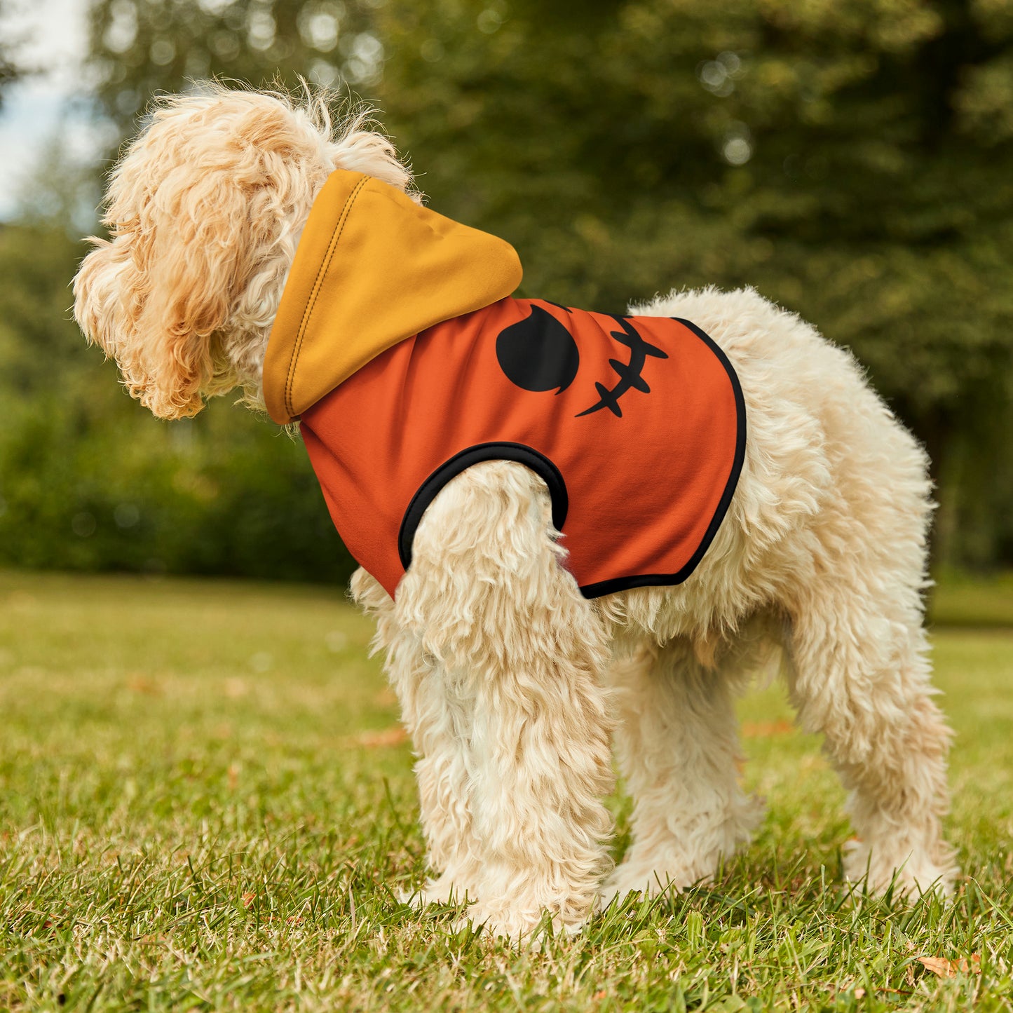 Pet Hoodie Sweet Jack-o-Lantern - Expressive DeZien