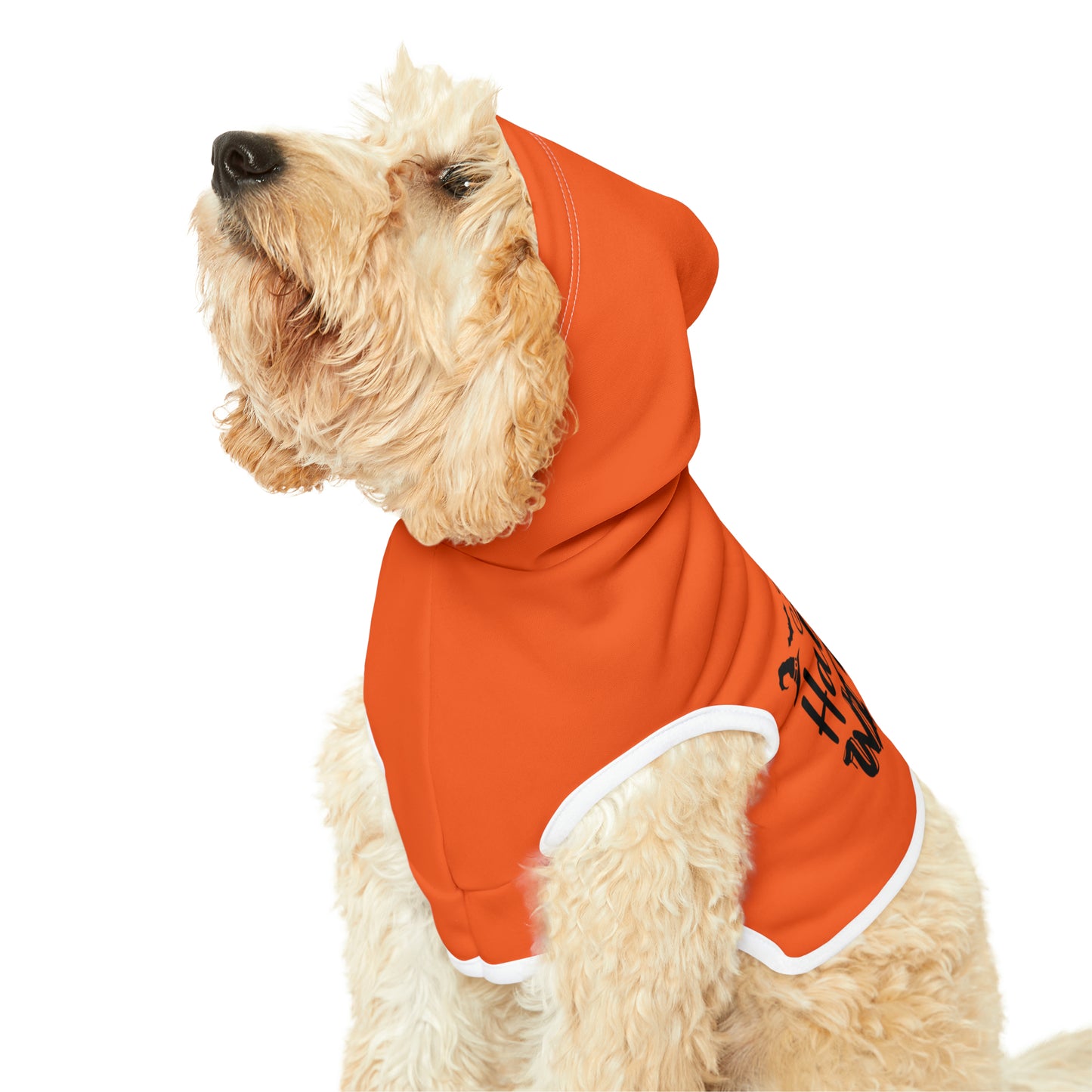 Pet Hoodie Happy Halloween Witches - Expressive DeZien