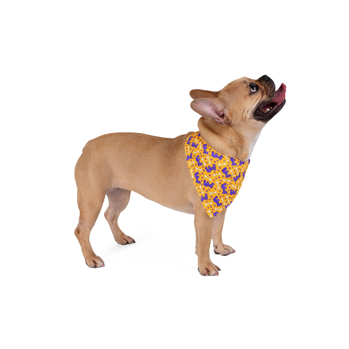 Pet Bandana WOOF & Bones - Expressive DeZien