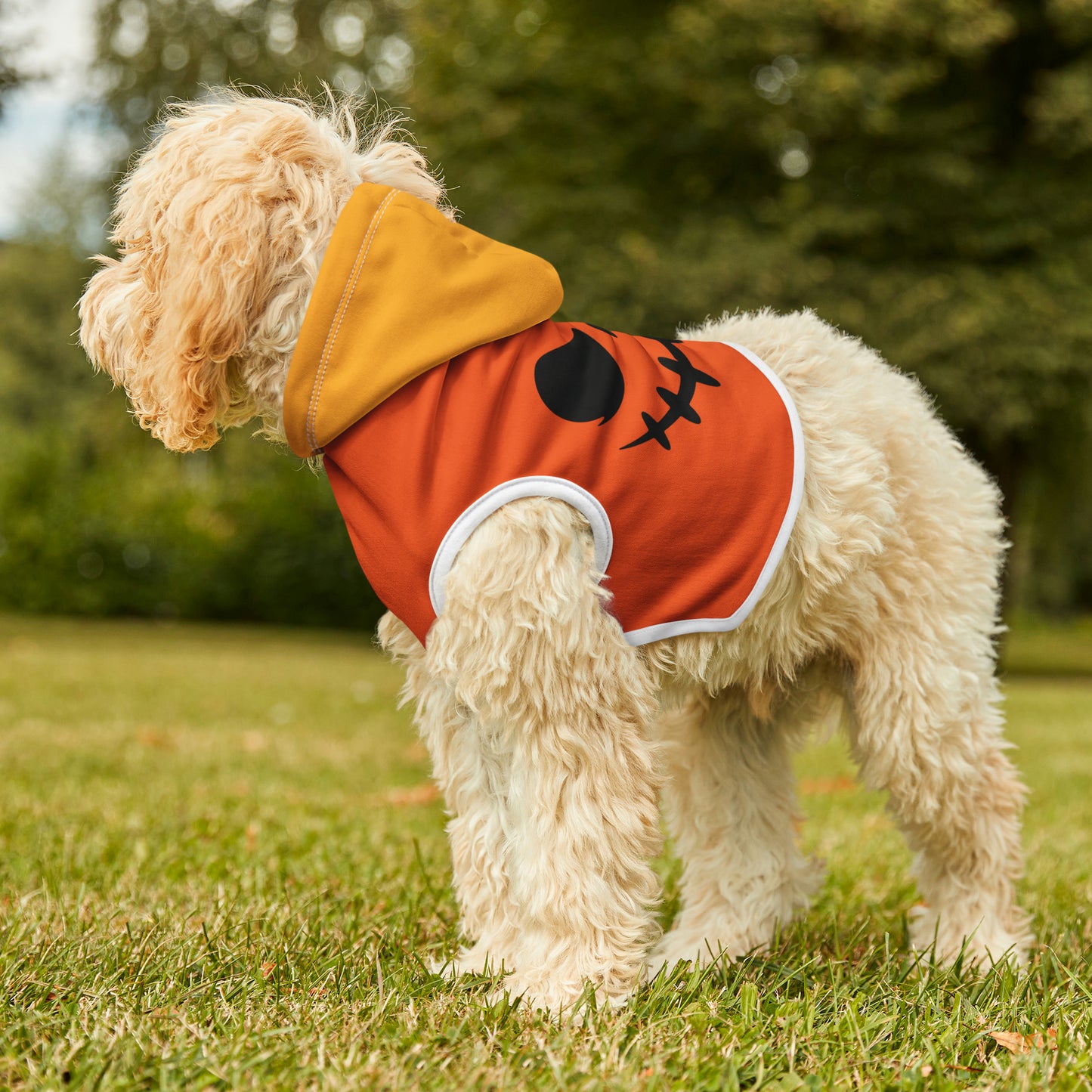 Pet Hoodie Sweet Jack-o-Lantern - Expressive DeZien