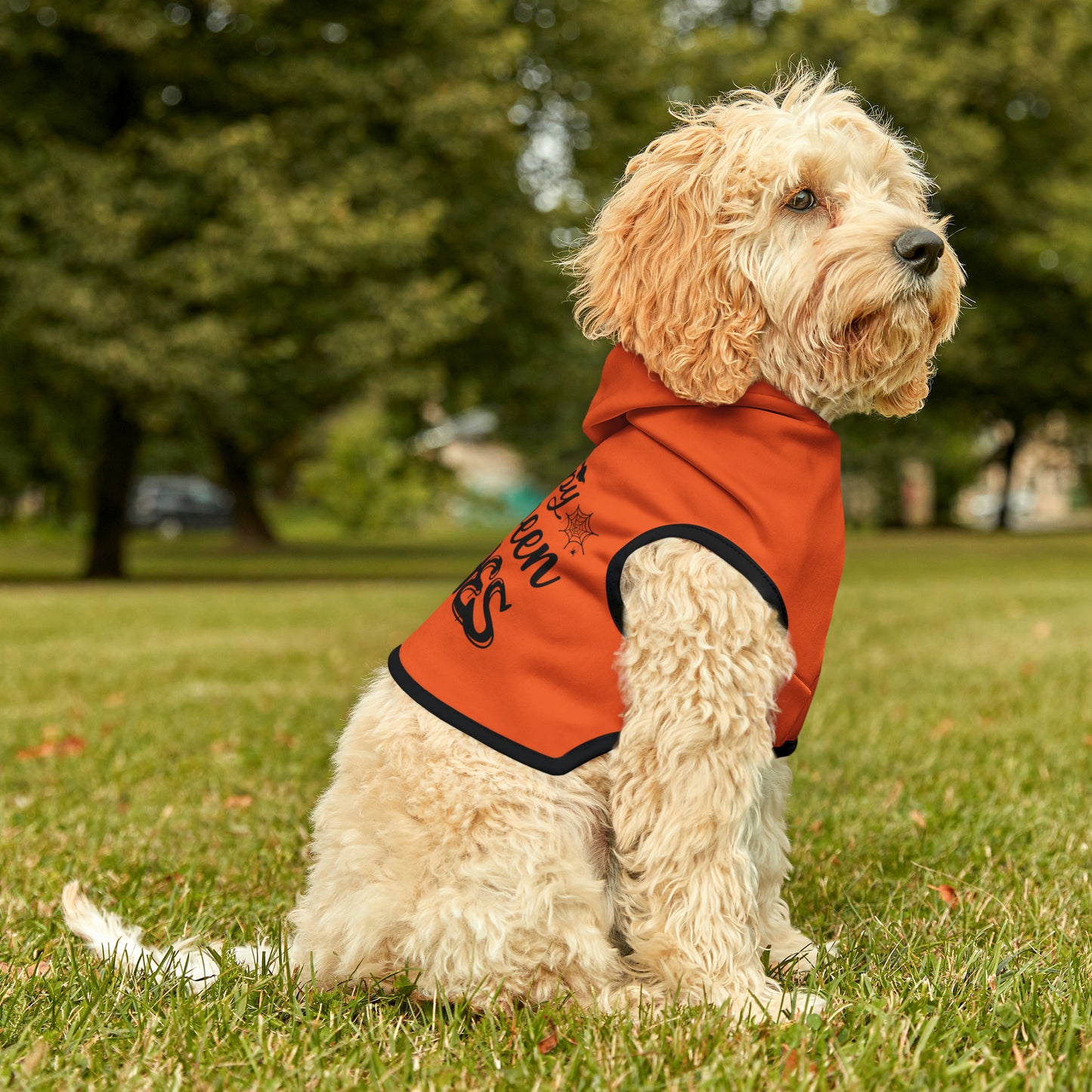 Pet Hoodie Happy Halloween Witches - Expressive DeZien