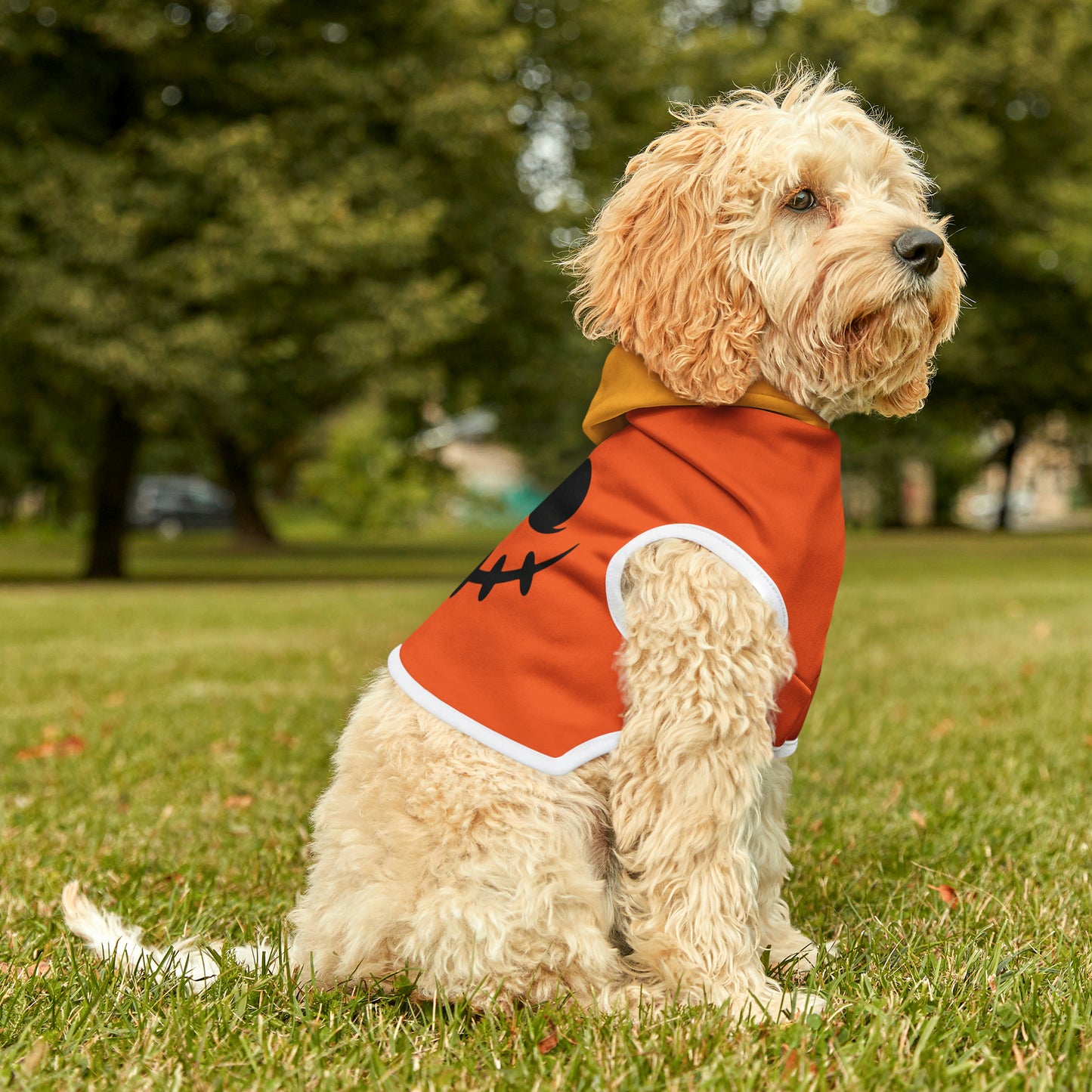 Pet Hoodie Sweet Jack-o-Lantern - Expressive DeZien