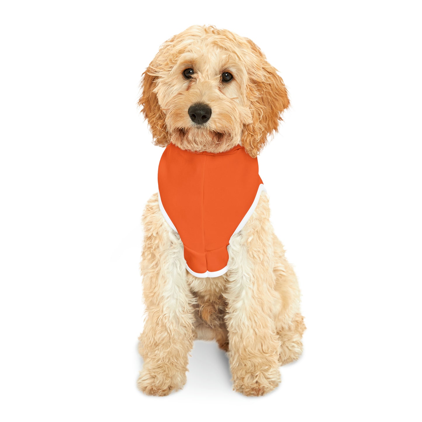 Pet Hoodie Happy Halloween Witches - Expressive DeZien