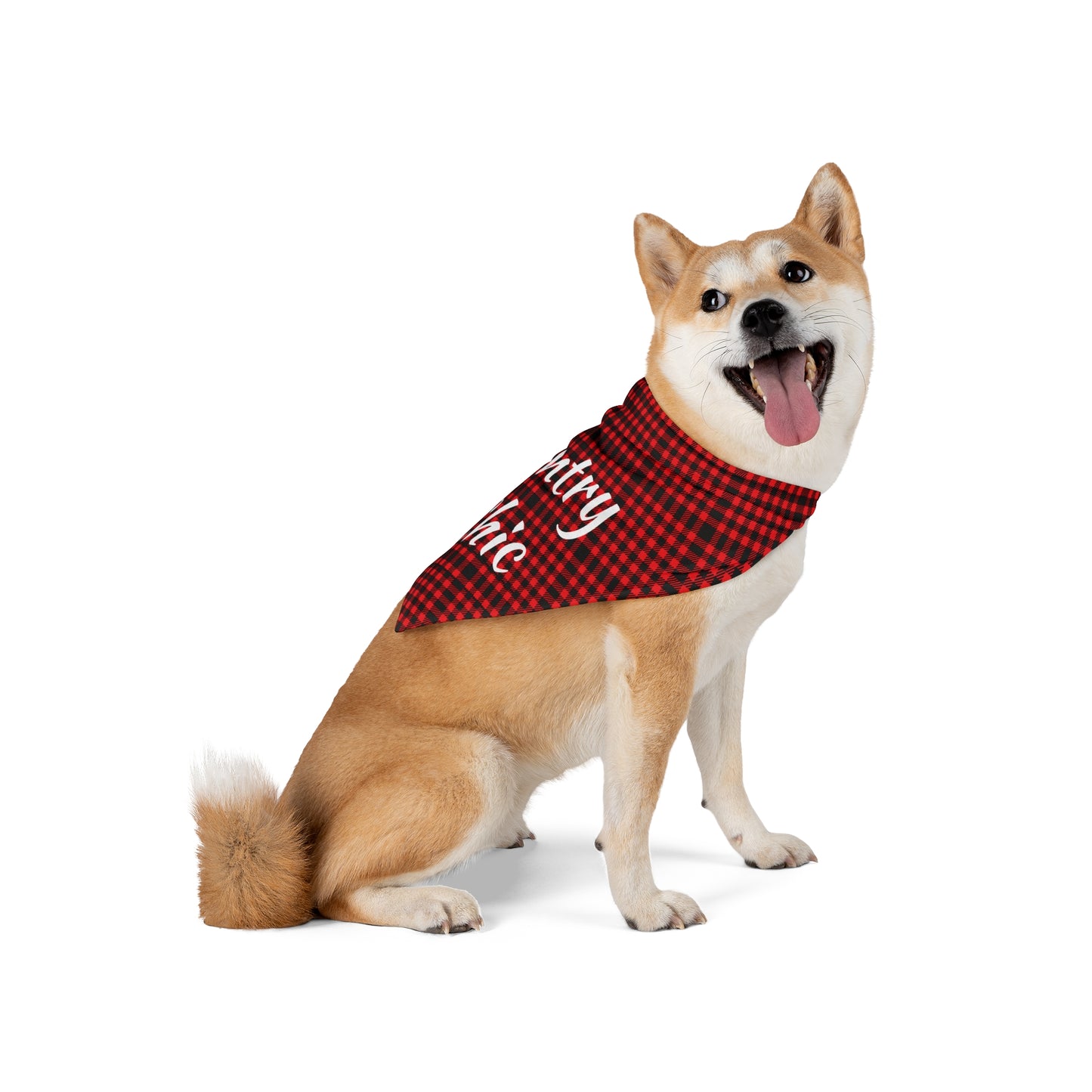 Pet Bandana Country Chic Buffalo print - Expressive DeZien