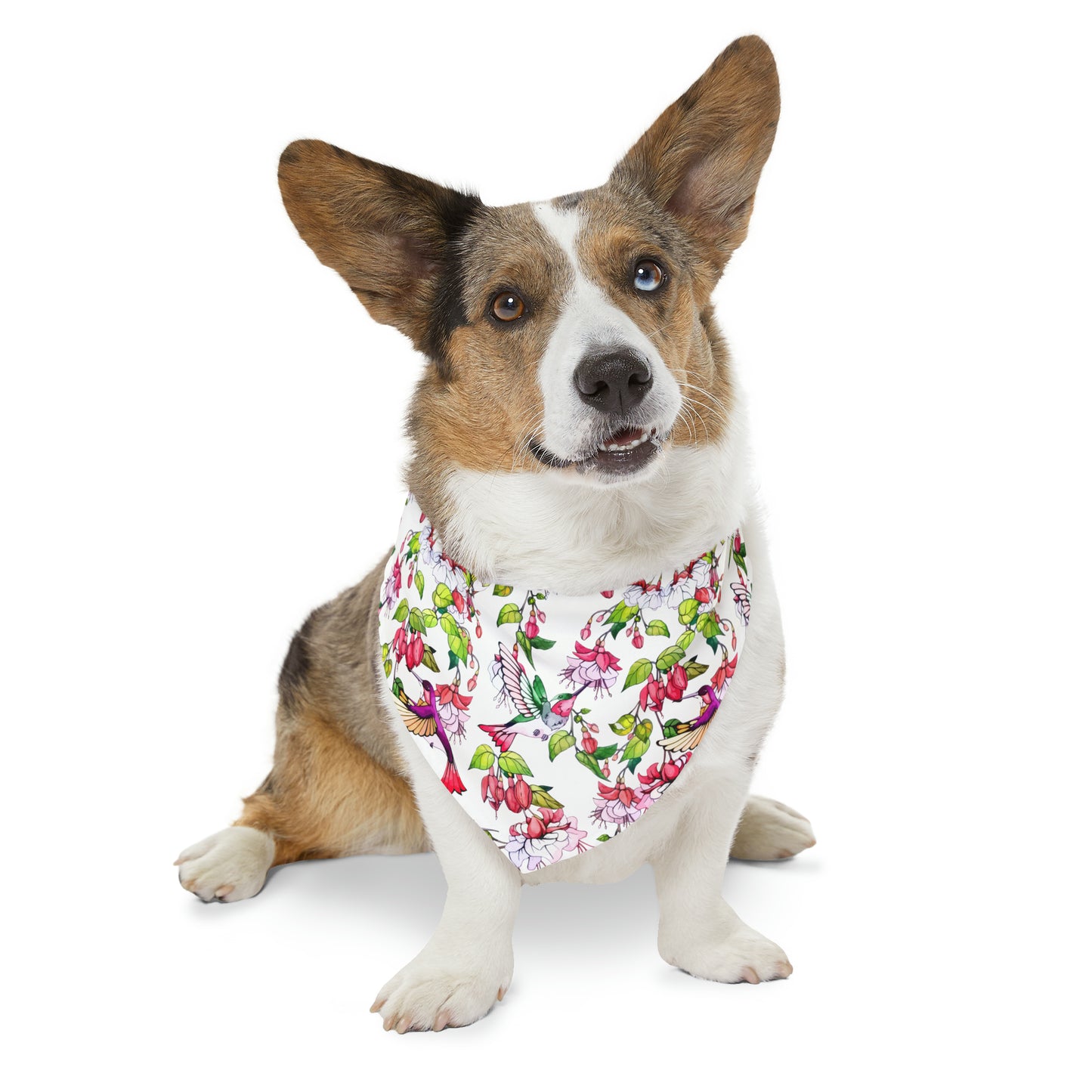 Pet Bandana Collar Hummingbirds and Fuchsia Flower - Expressive DeZien