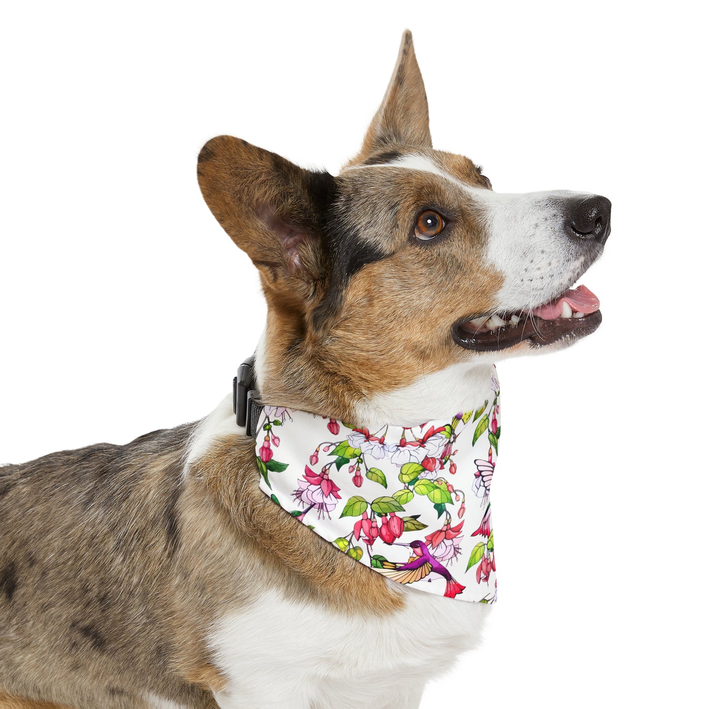 Pet Bandana Collar Hummingbirds and Fuchsia Flower - Expressive DeZien
