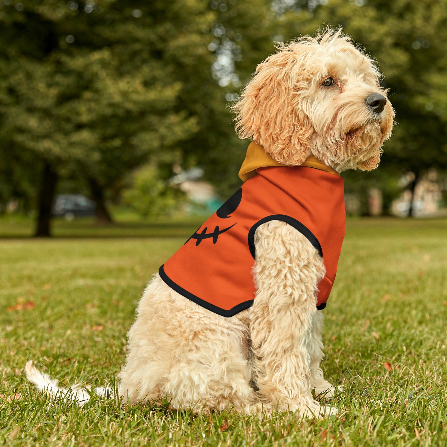 Pet Hoodie Sweet Jack-o-Lantern - Expressive DeZien