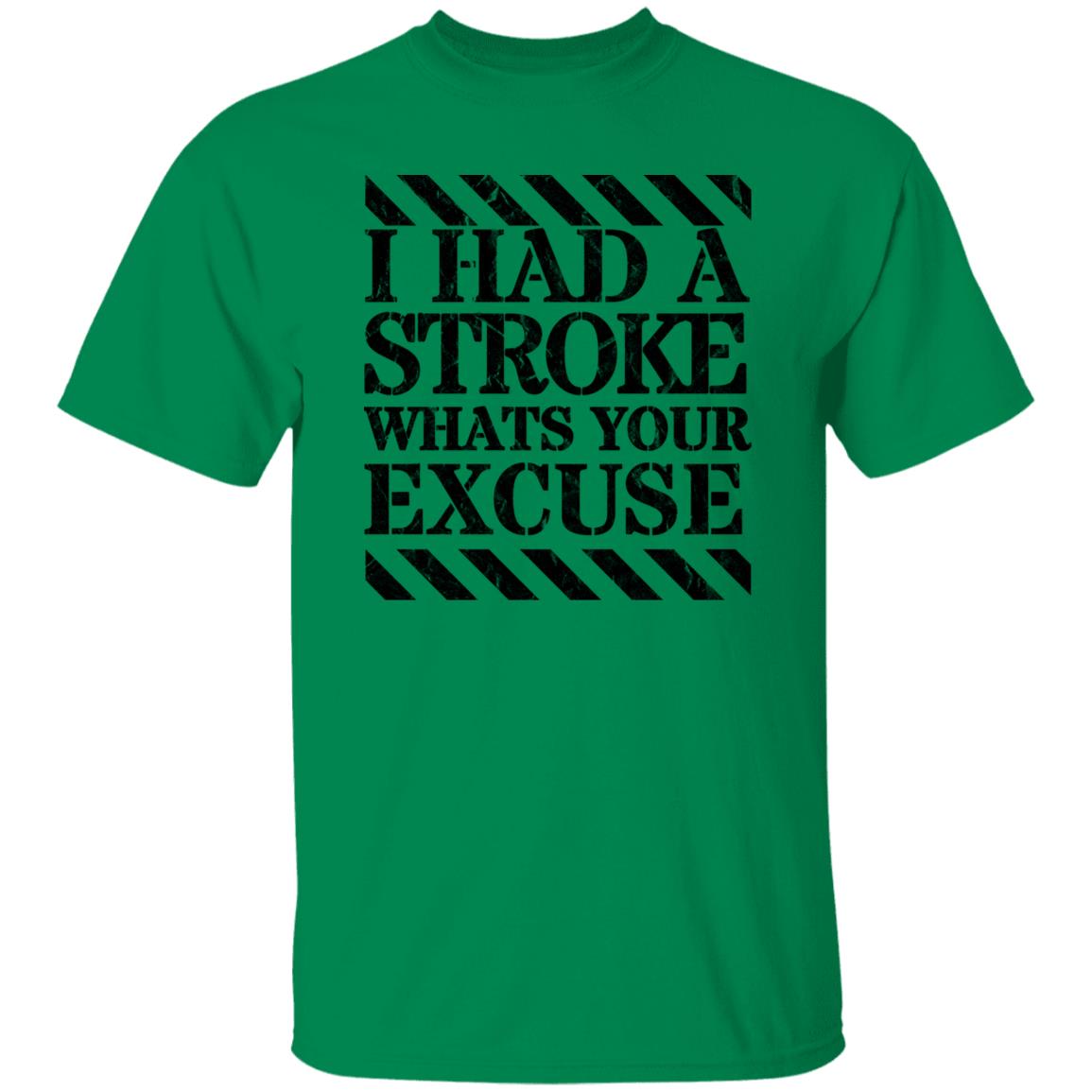 I had a stroke what's your excuse T-Shirt Black - Expressive DeZien