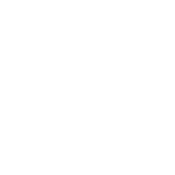 Expressive DeZien logo