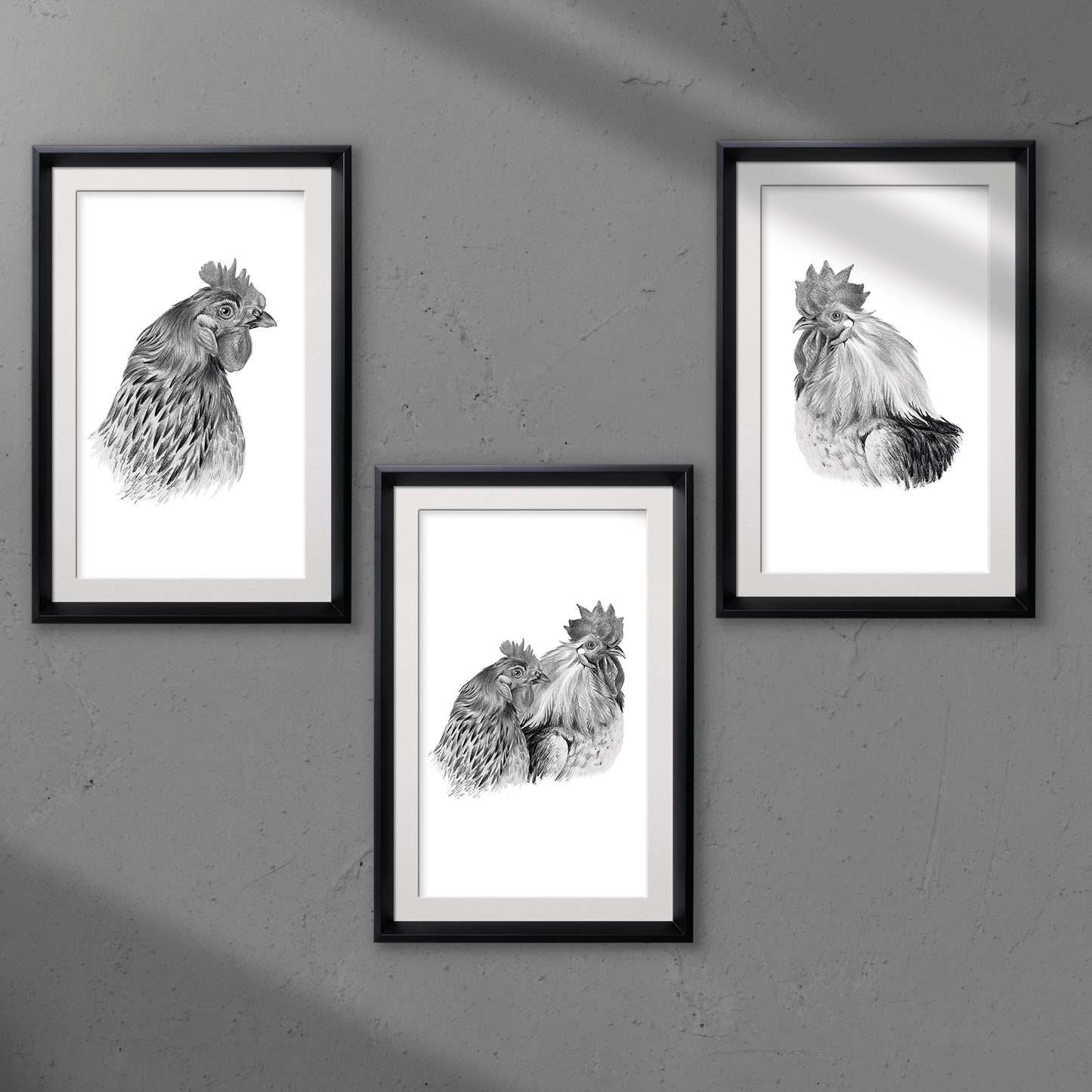 Set of 3 Hen & Rooster Monochrome Pencil Art Prints - Expressive DeZien