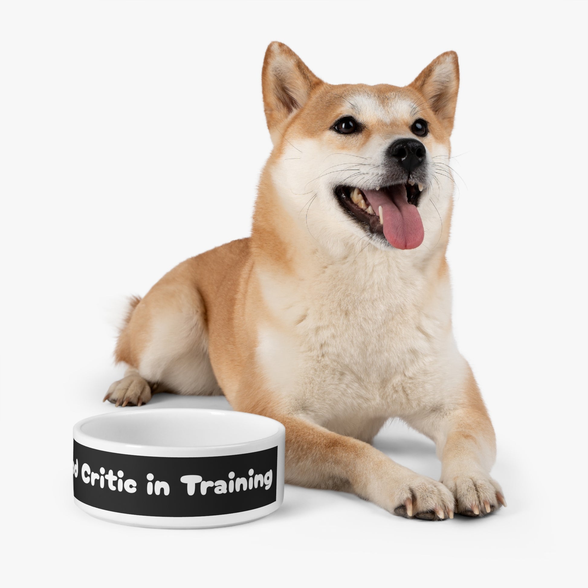 Pet Bowl Food Critic in Training - Expressive DeZien 