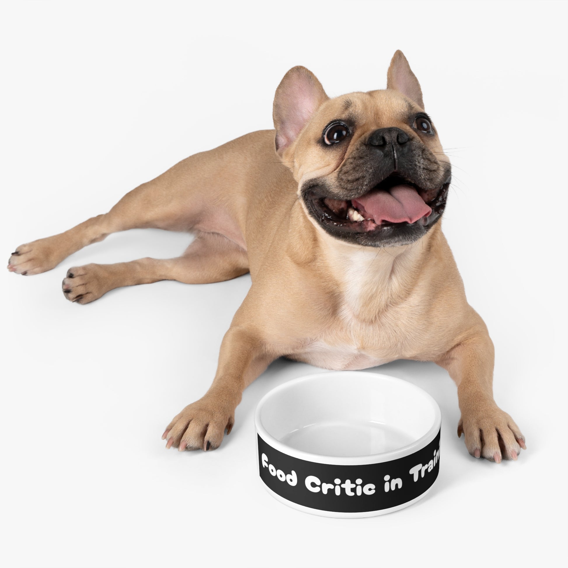 Pet Bowl Food Critic in Training - Expressive DeZien 