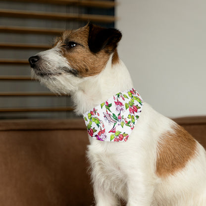 Pet Bandana Collar Hummingbirds and Fuchsia Flower - Expressive DeZien 