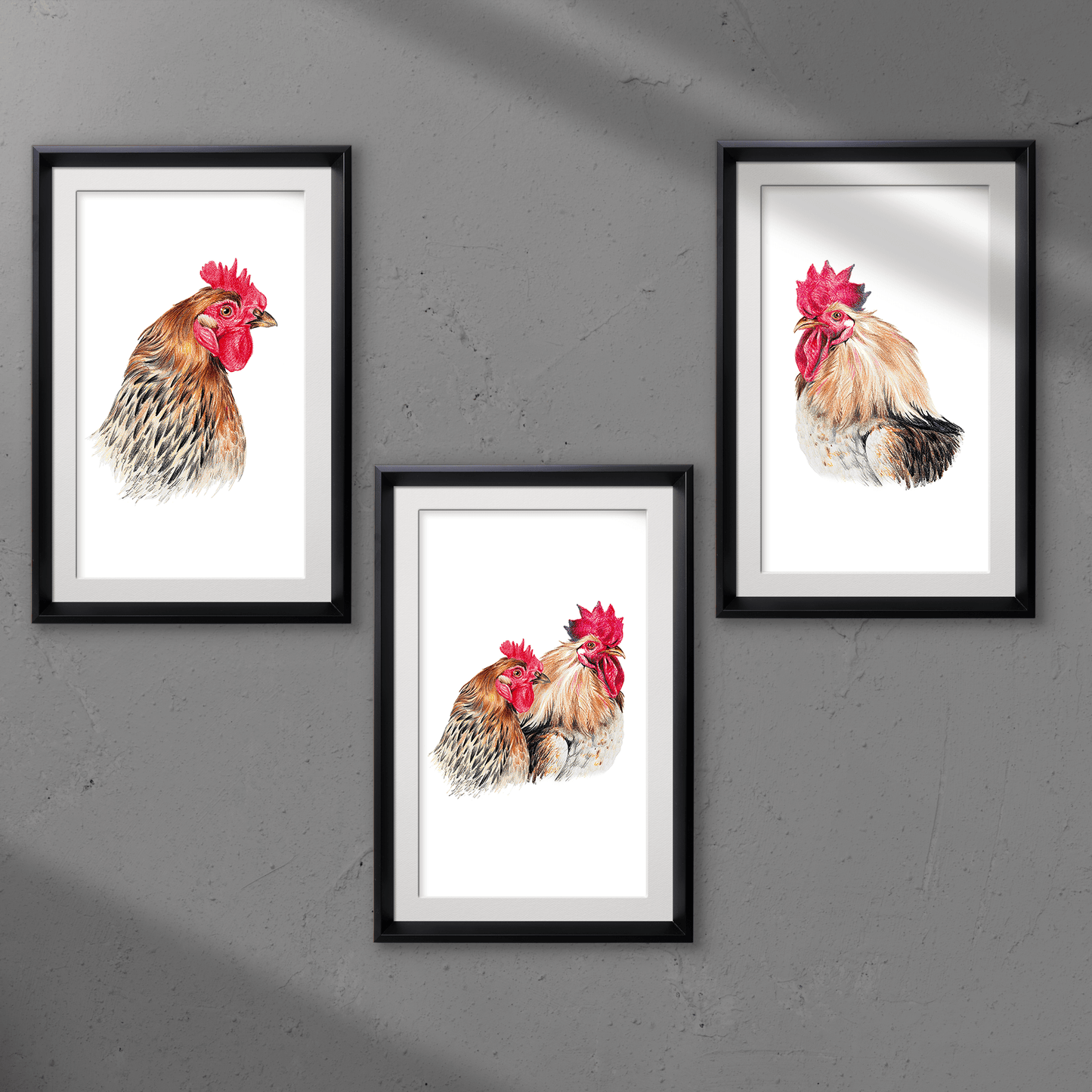 Set of 3 Hen & Rooster Colored Pencil Print - Expressive DeZien 