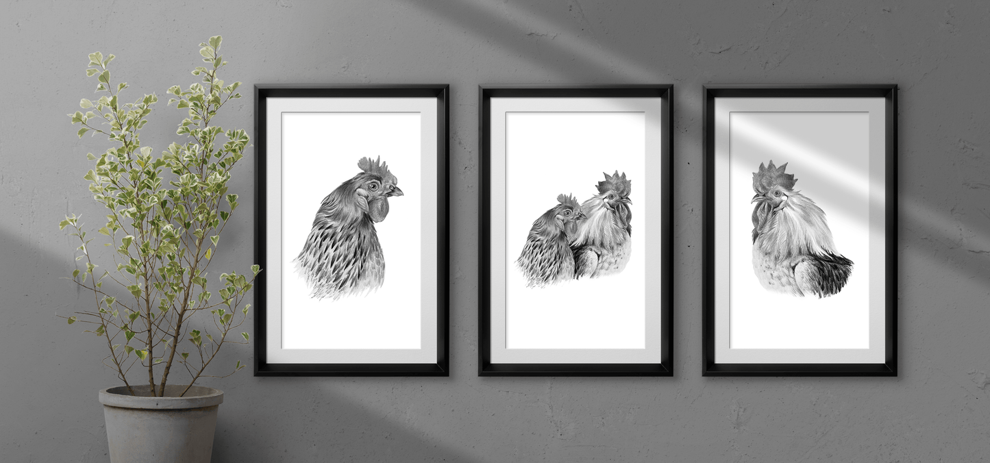 Set of 3 Hen & Rooster Monochrome Pencil Art Prints - Expressive DeZien 