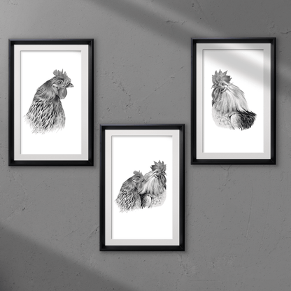 Set of 3 Hen & Rooster Monochrome Pencil Art Prints - Expressive DeZien 